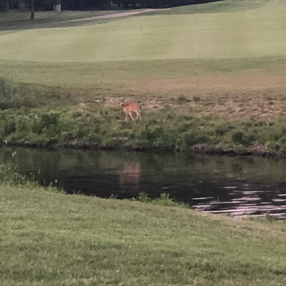 Meet your Posher, K - Picture 1 of 1